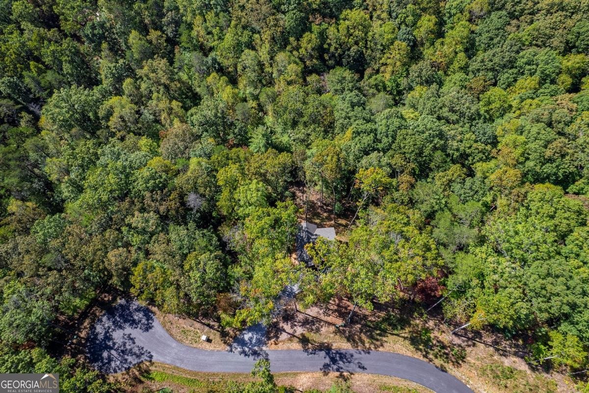 100 Crystal Oliver Lane Cherry Log - Photo 31