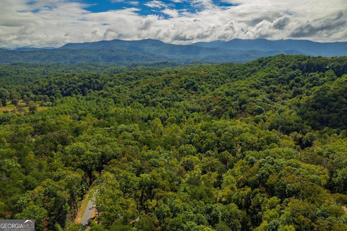 100 Crystal Oliver Lane Cherry Log - Photo 32