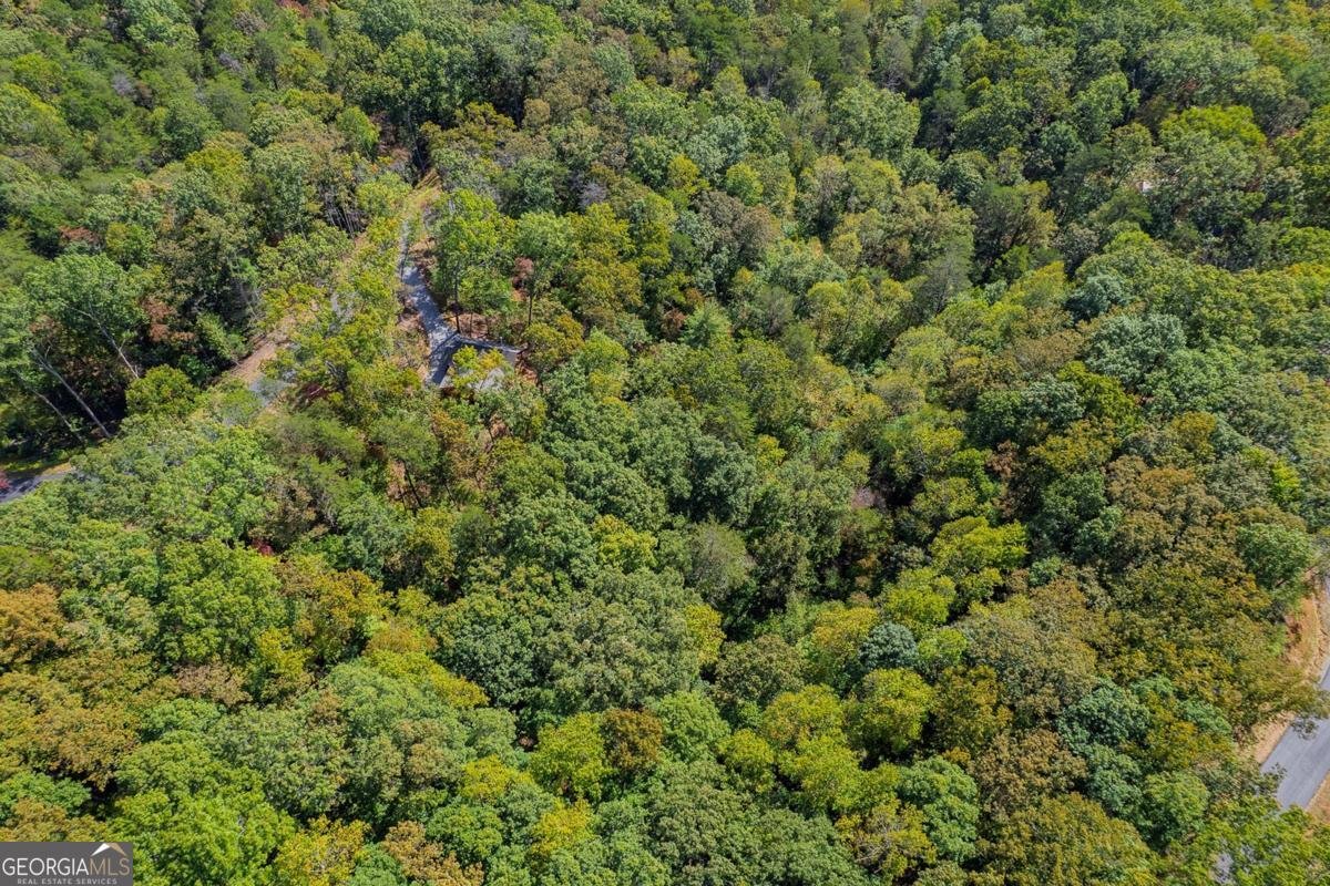 100 Crystal Oliver Lane Cherry Log - Photo 34