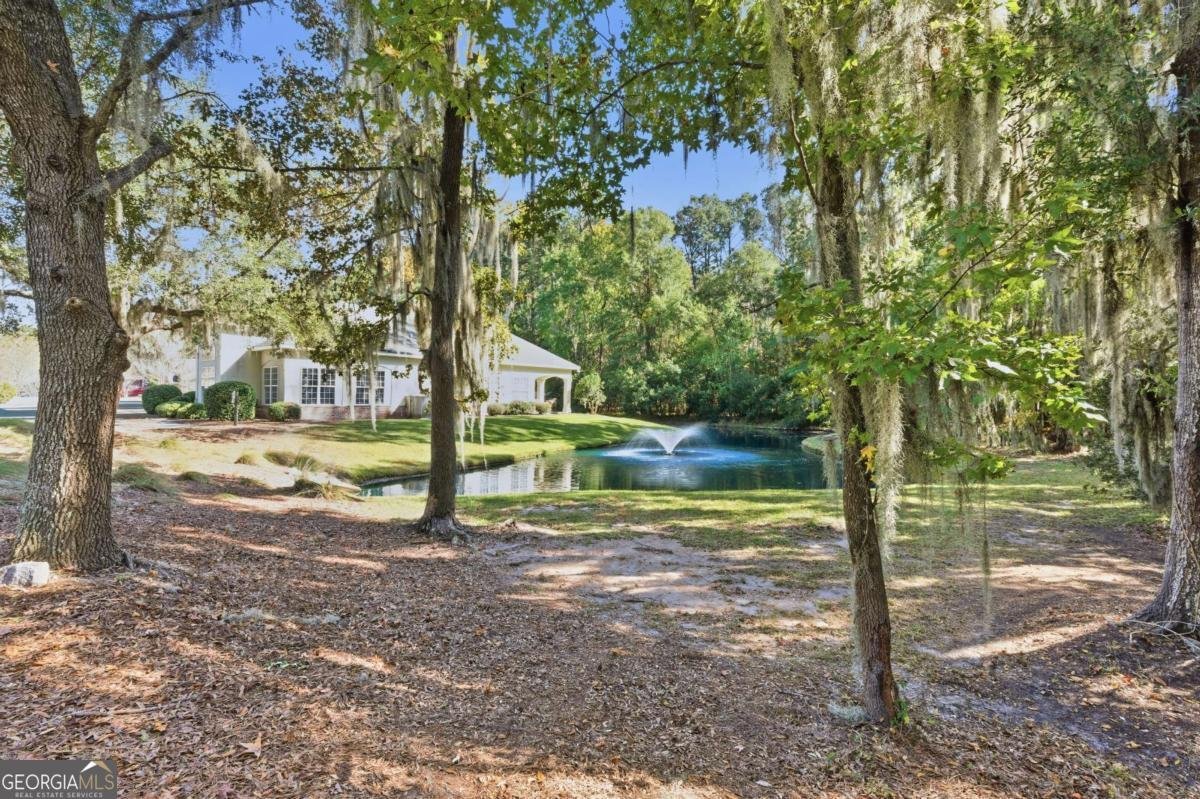 11 Wild Heron Villas Road Savannah - Photo 40