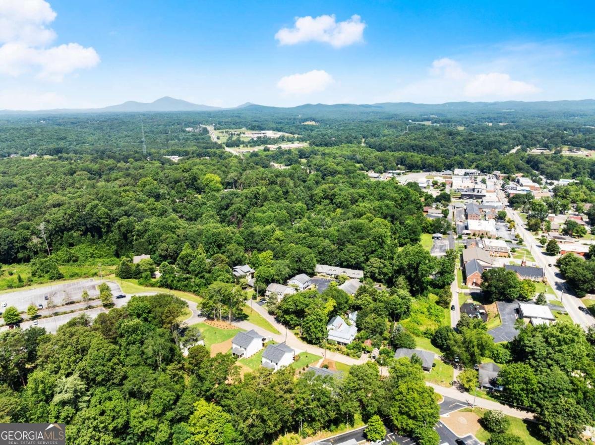 172 Llewellyn st Clarkesville - Photo 47