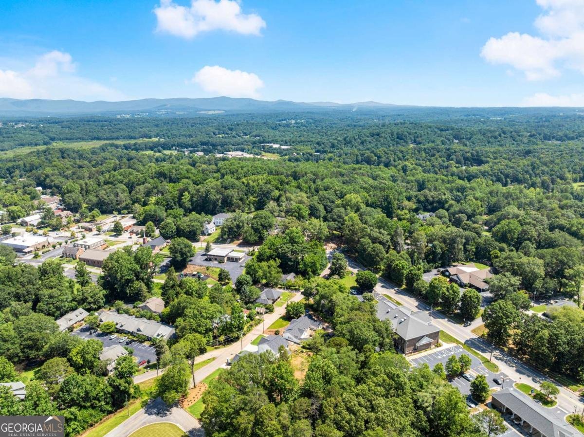 172 Llewellyn st Clarkesville - Photo 48