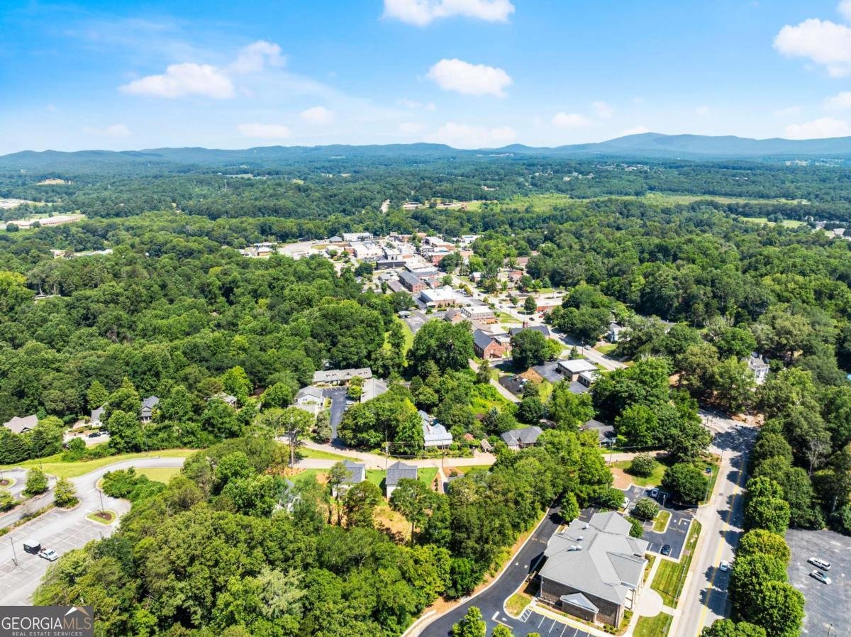 172 Llewellyn st Clarkesville - Photo 49