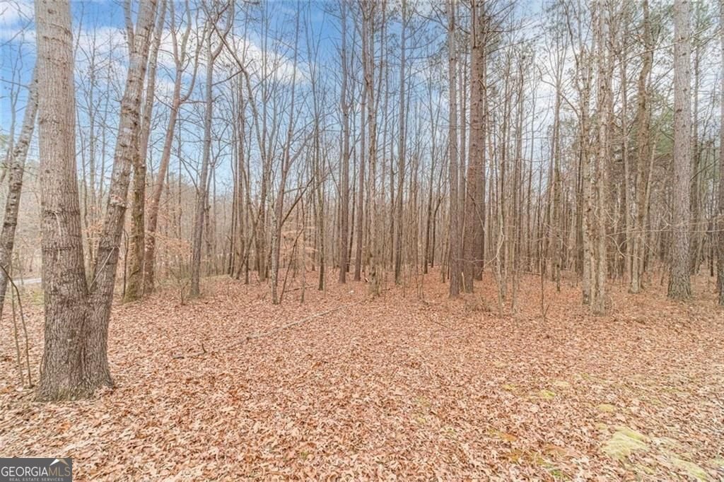 6713 Victoria Lane Lula - Photo 27