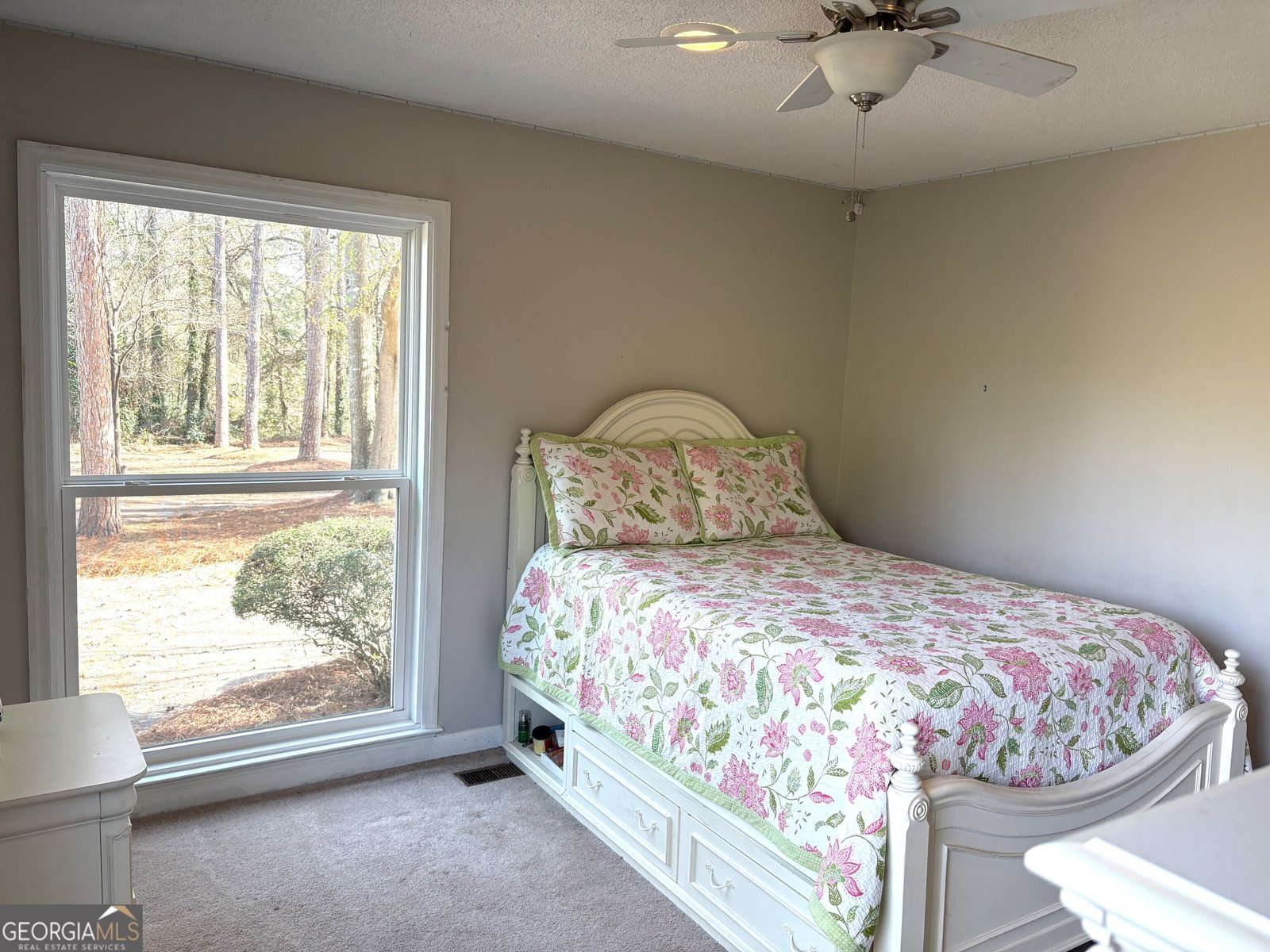 502 Payne Place Dublin - Photo 38