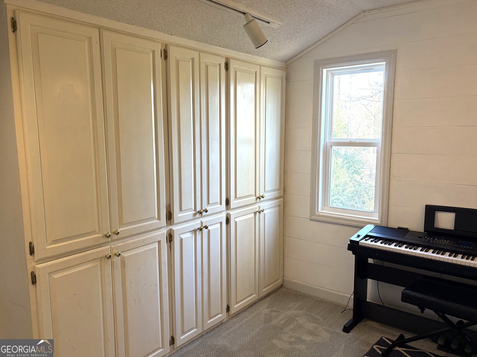 502 Payne Place Dublin - Photo 51