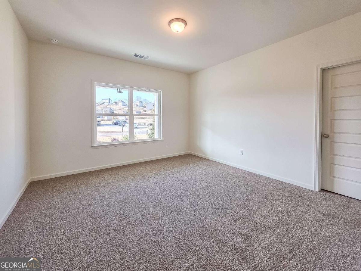 16 Odgers Trail Dawsonville - Photo 34