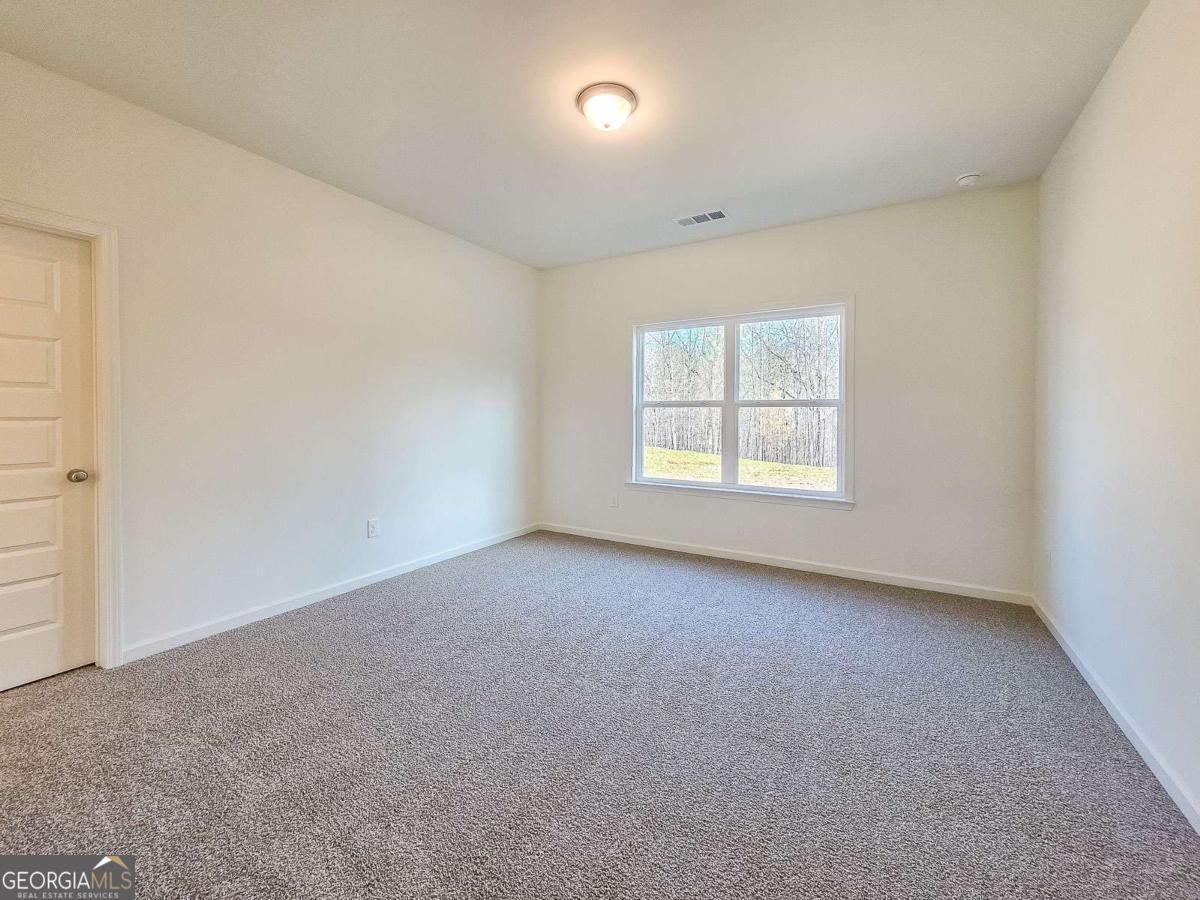 16 Odgers Trail Dawsonville - Photo 36