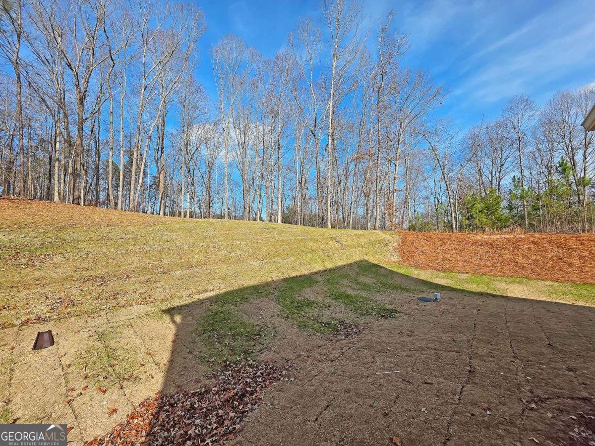 6210 Carlys Way Gainesville - Photo 43