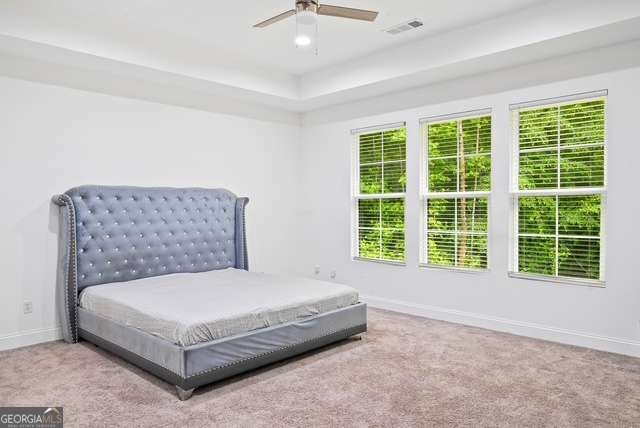 5264 Prestley Crossing Lane Douglasville - Photo 19