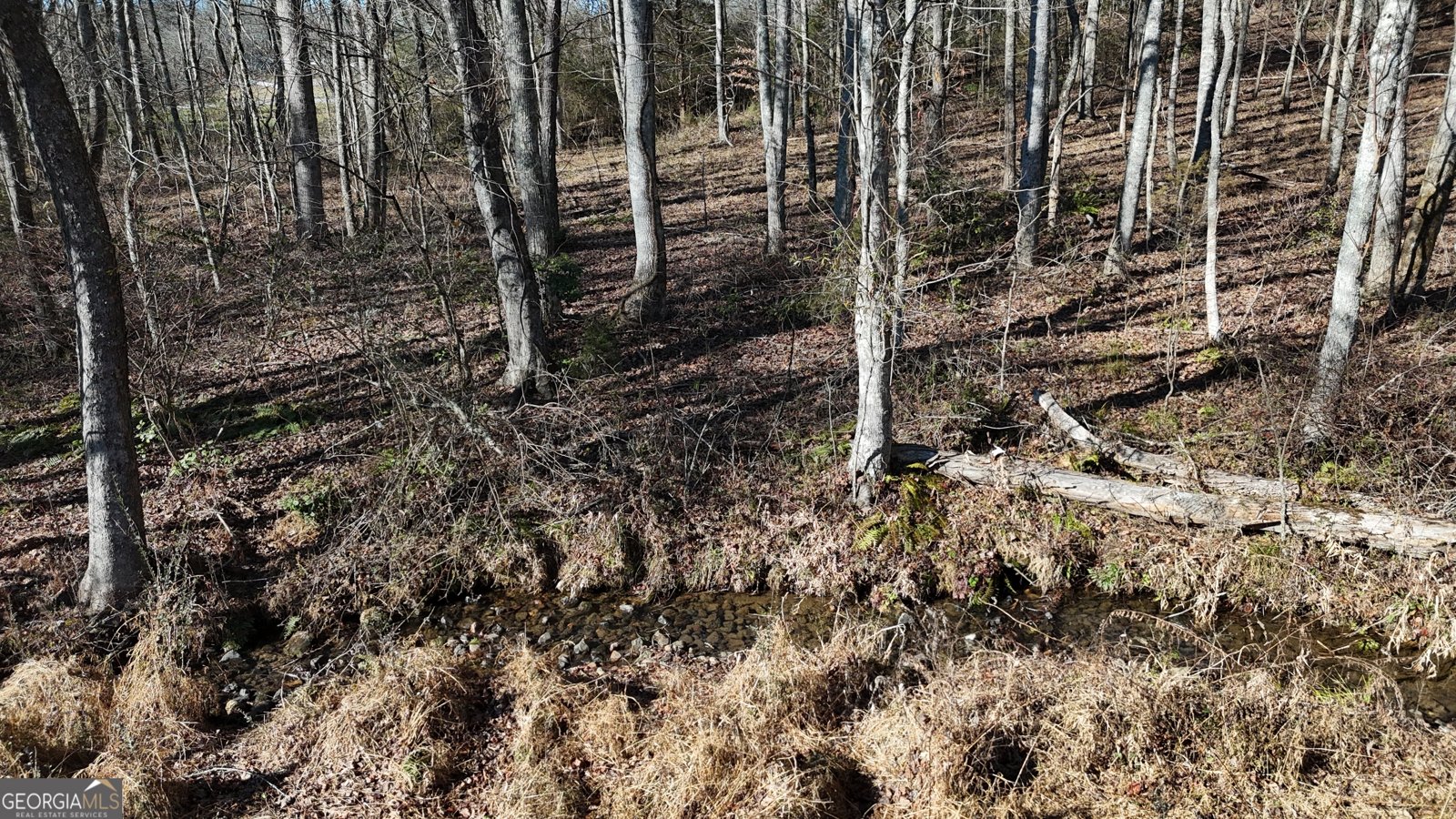 9200 Murphy Highway Blairsville - Photo 24