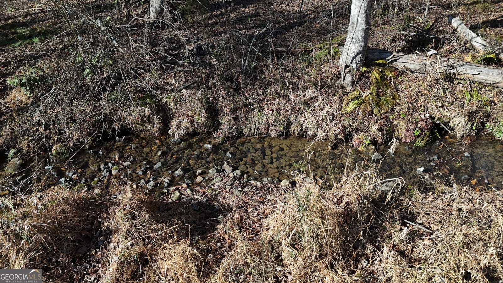 9200 Murphy Highway Blairsville - Photo 25