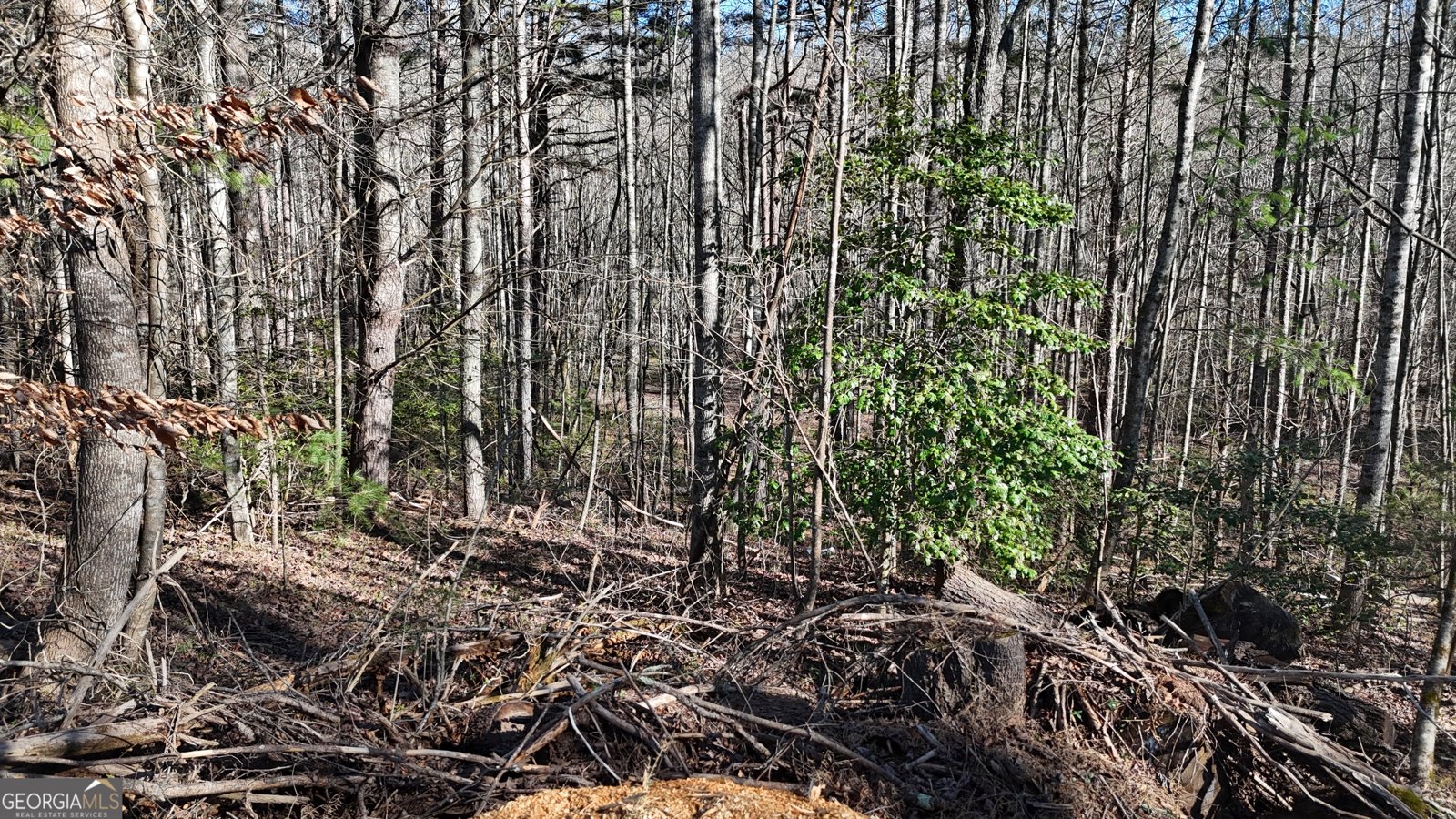 9200 Murphy Highway Blairsville - Photo 26