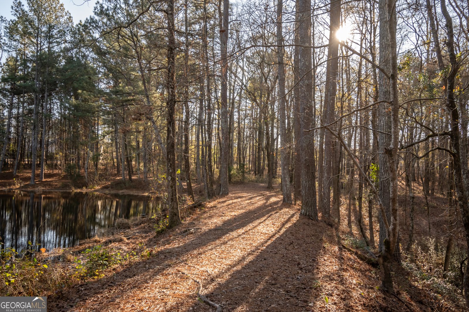 2893 Whitlow Ridge Drive Bishop - Photo 48