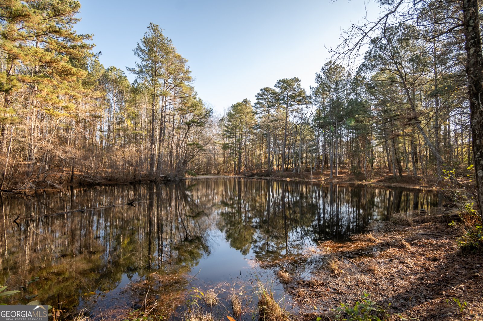 2893 Whitlow Ridge Drive Bishop - Photo 49