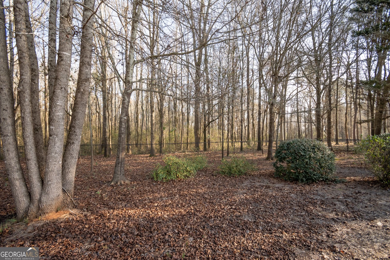 1051 Stone Shoals Lane Watkinsville - Photo 37