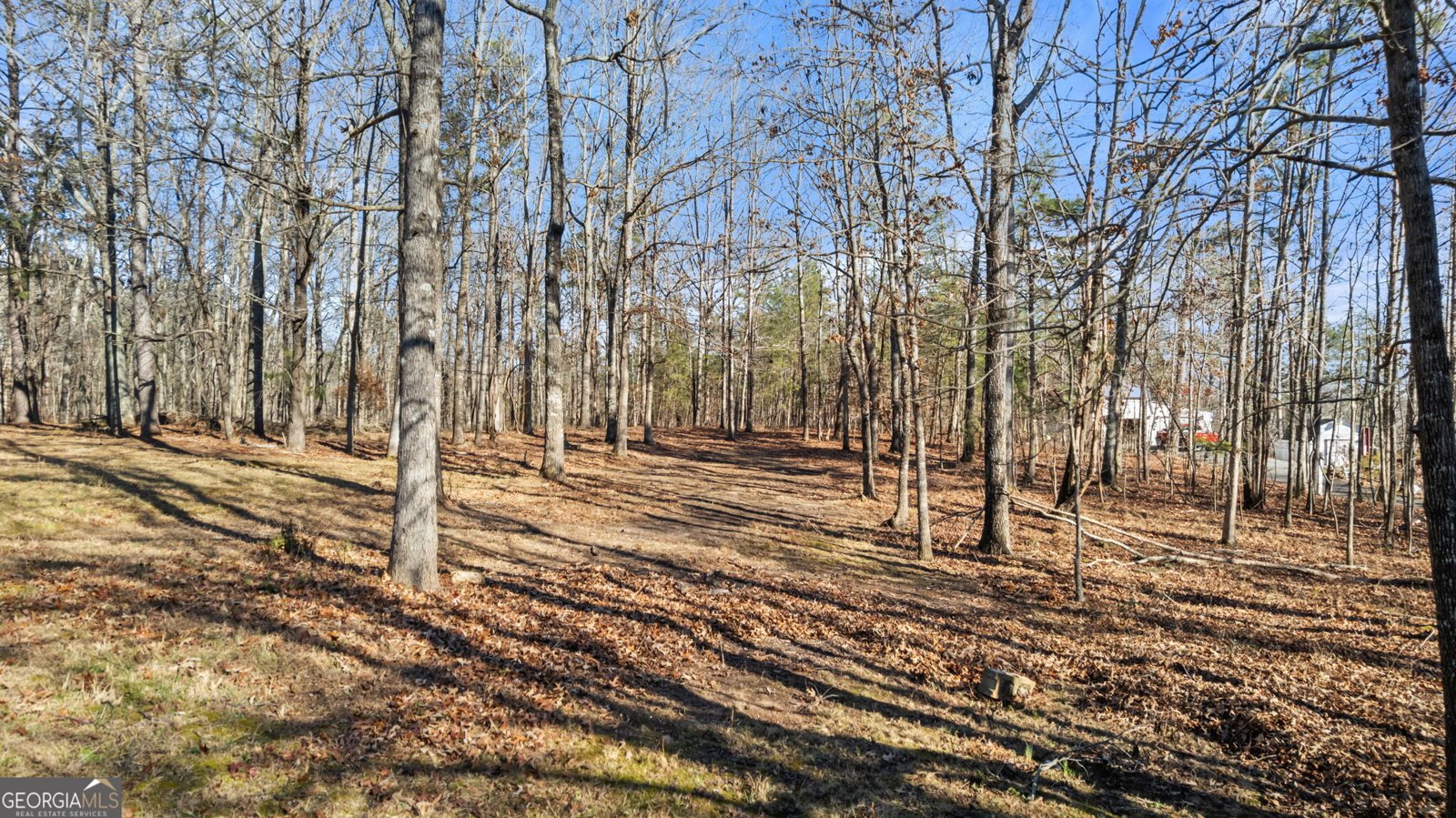 385 Breedlove Road Ball Ground - Photo 30