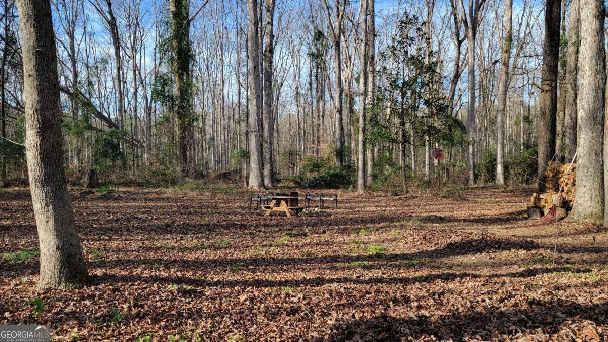 74 Wolfskin Road Arnoldsville - Photo 20