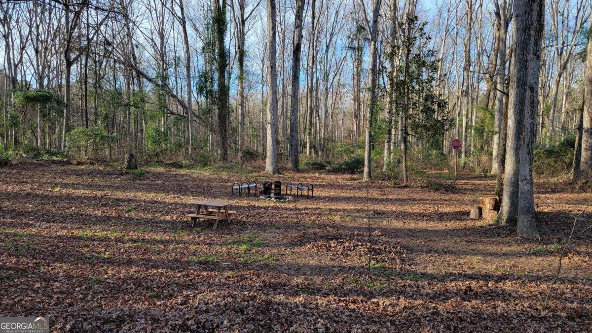 74 Wolfskin Road Arnoldsville - Photo 21