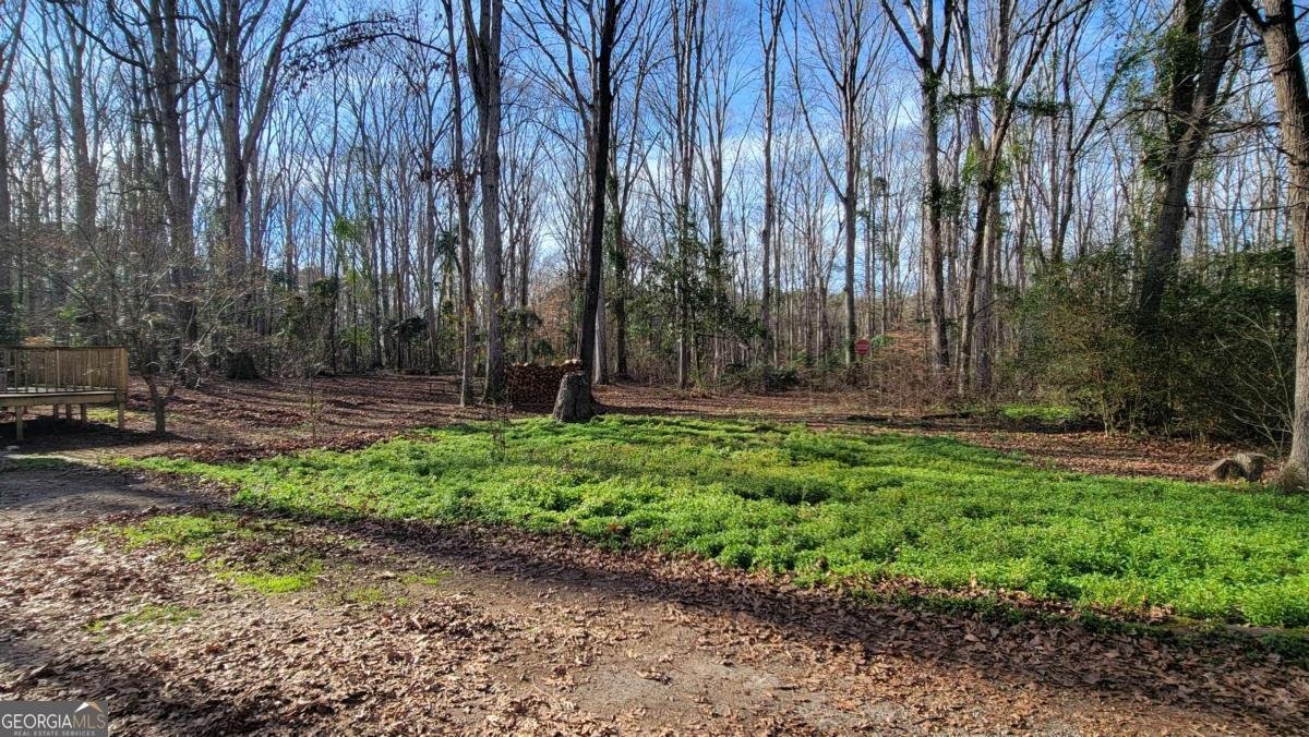 74 Wolfskin Road Arnoldsville - Photo 22