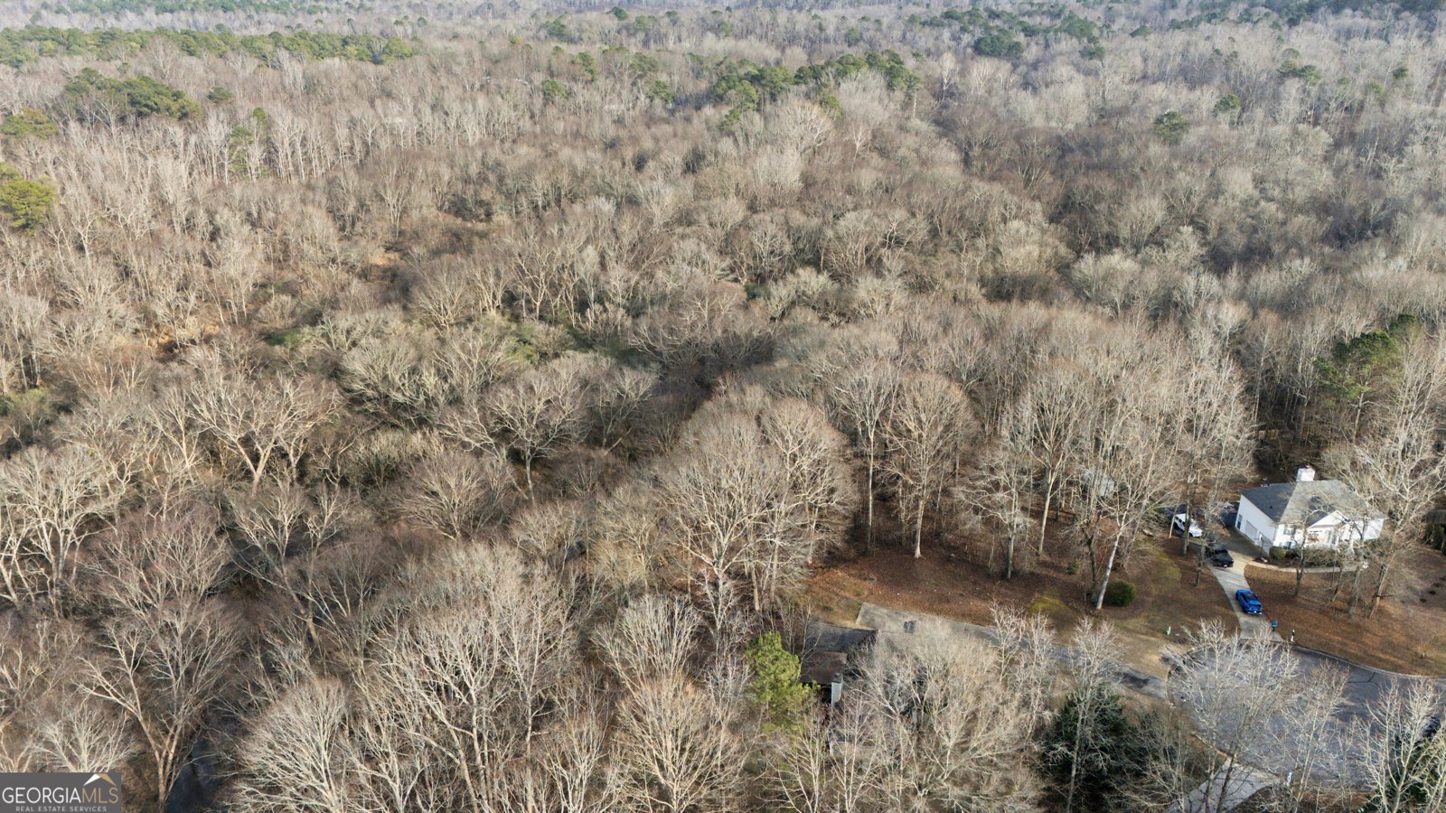 325 Ashley Woods Drive Newnan - Photo 37