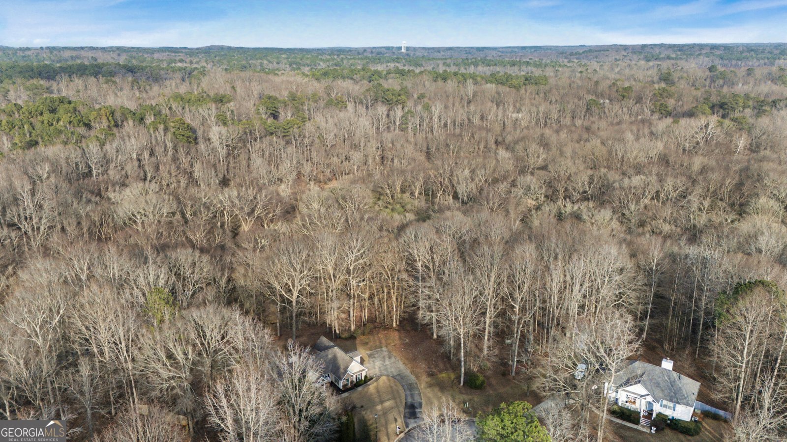 325 Ashley Woods Drive Newnan - Photo 38