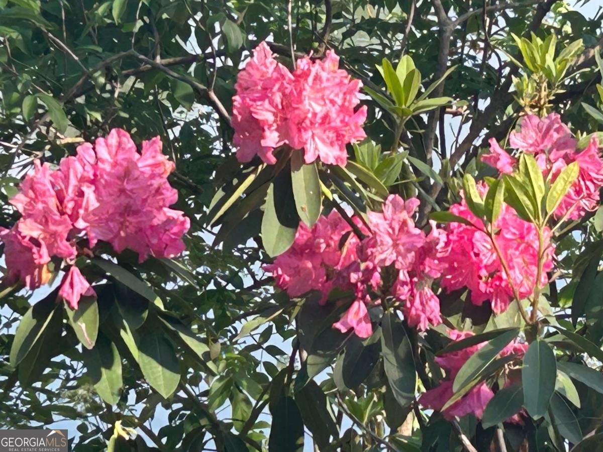 1931 Oliver Bridge Road Watkinsville - Photo 21