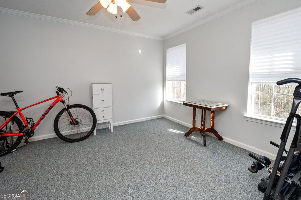 231 Barrington Farms Parkway Sharpsburg - Photo 28