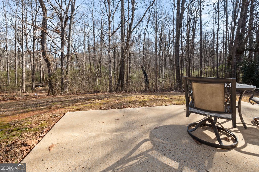 231 Barrington Farms Parkway Sharpsburg - Photo 31