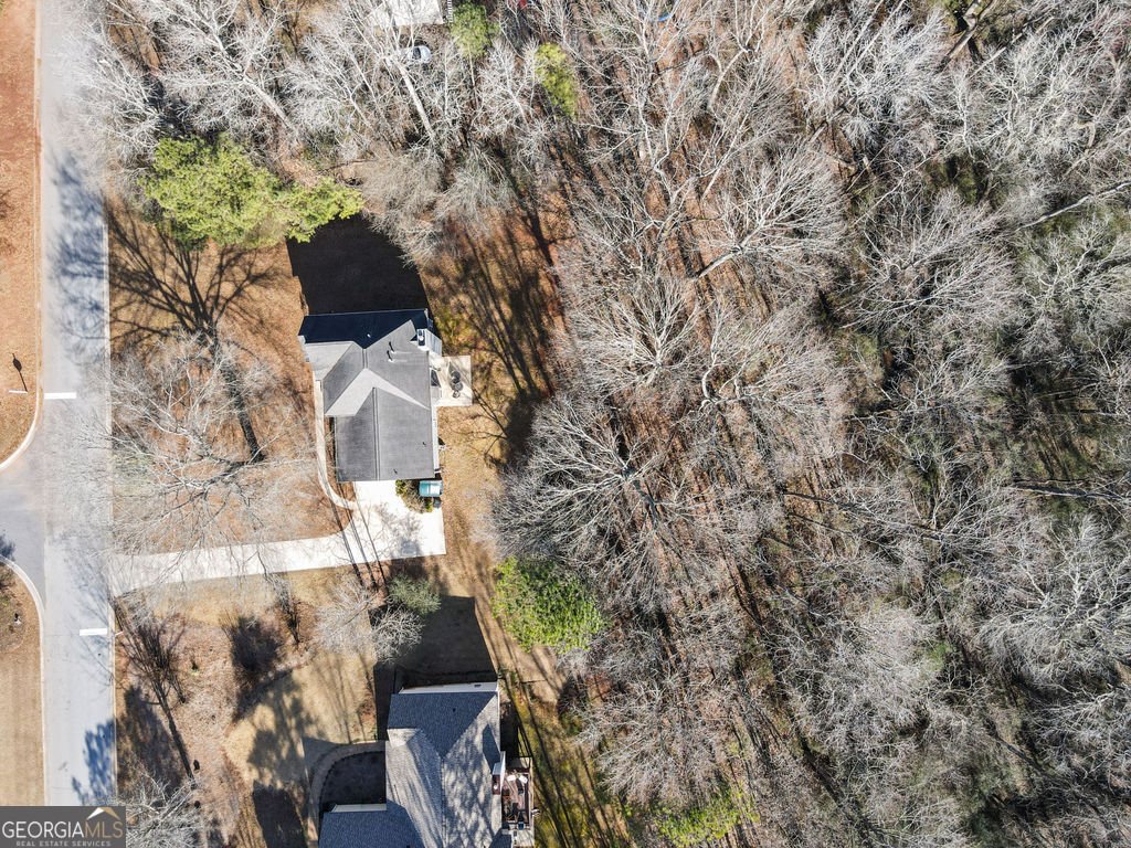 231 Barrington Farms Parkway Sharpsburg - Photo 37