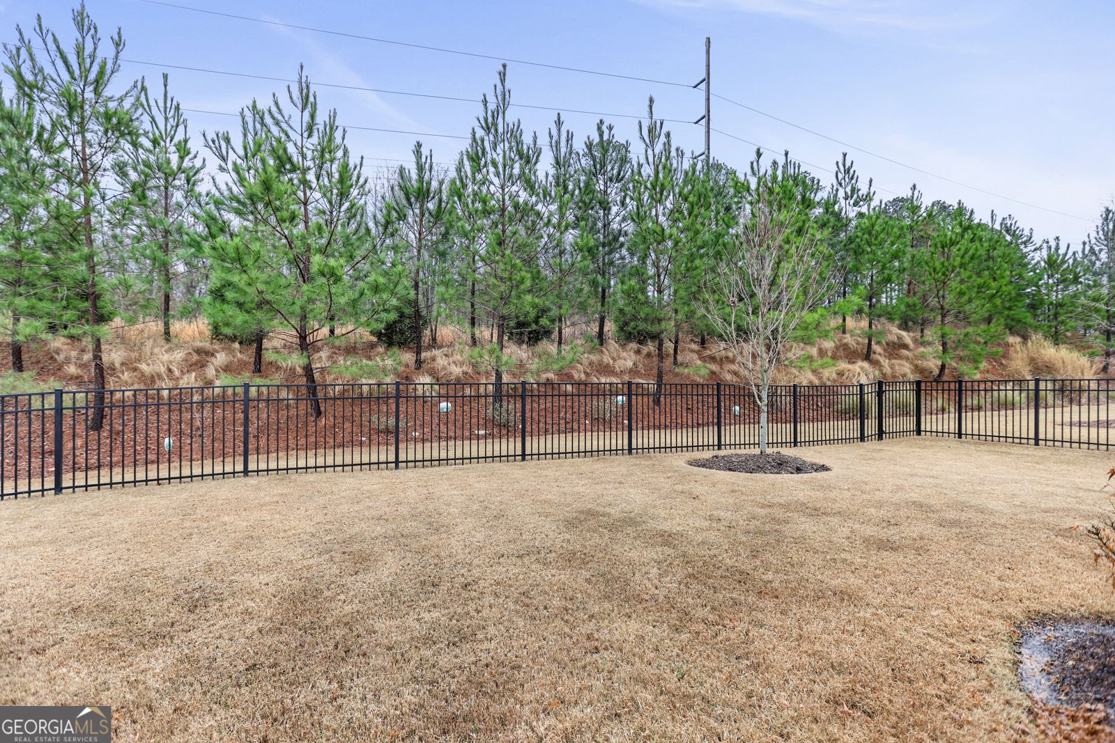 523 Hazelnut Drive Peachtree City - Photo 45