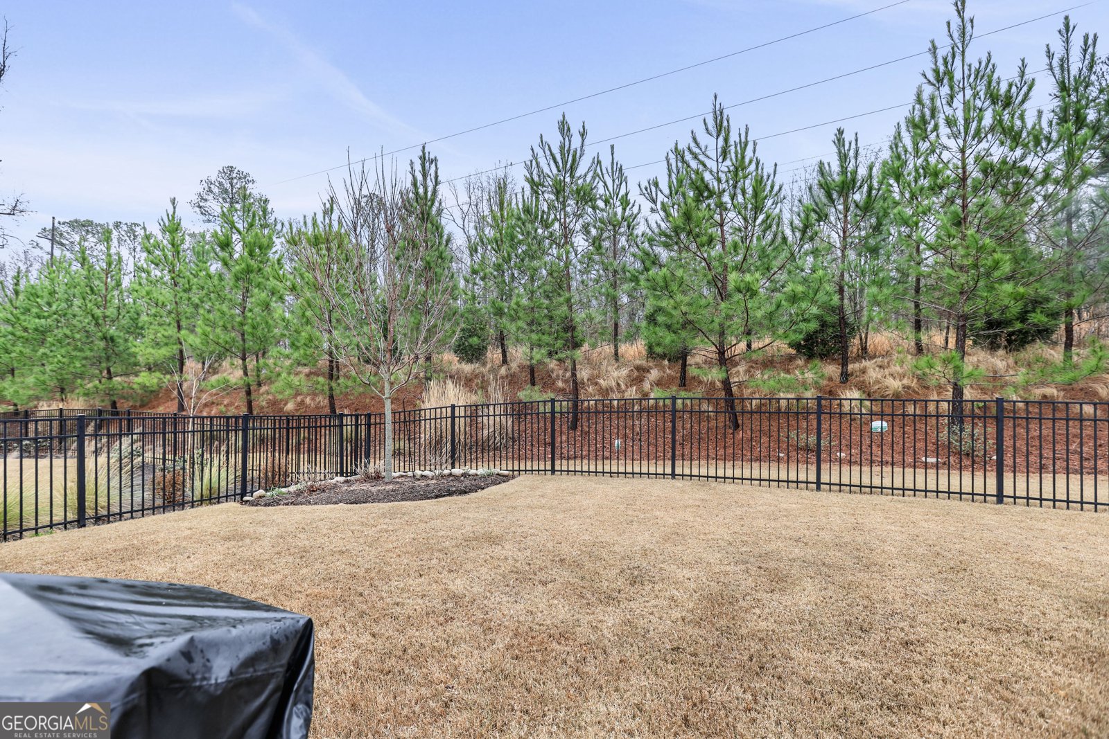 523 Hazelnut Drive Peachtree City - Photo 46