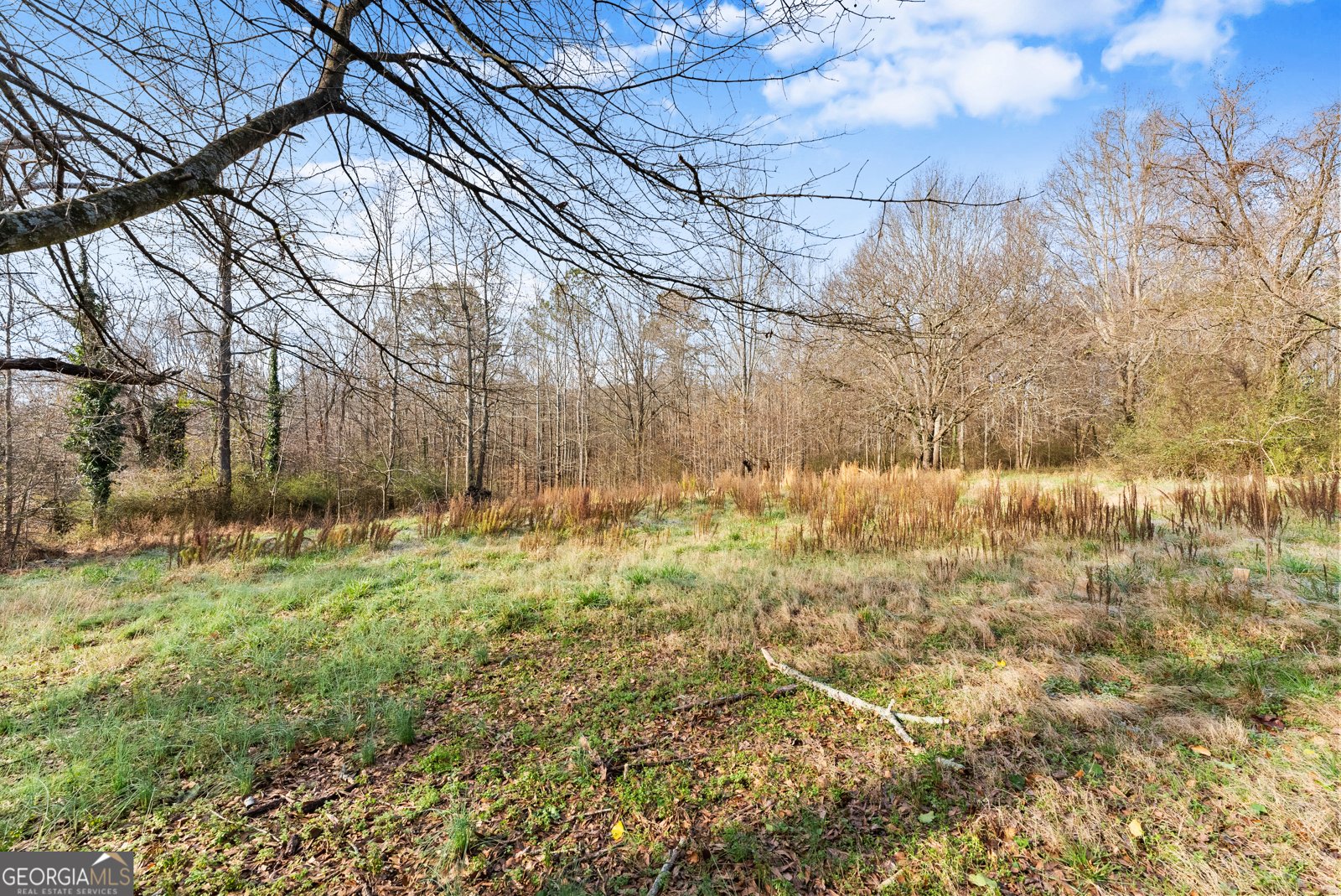 6216 Highway 52 Gillsville - Photo 32