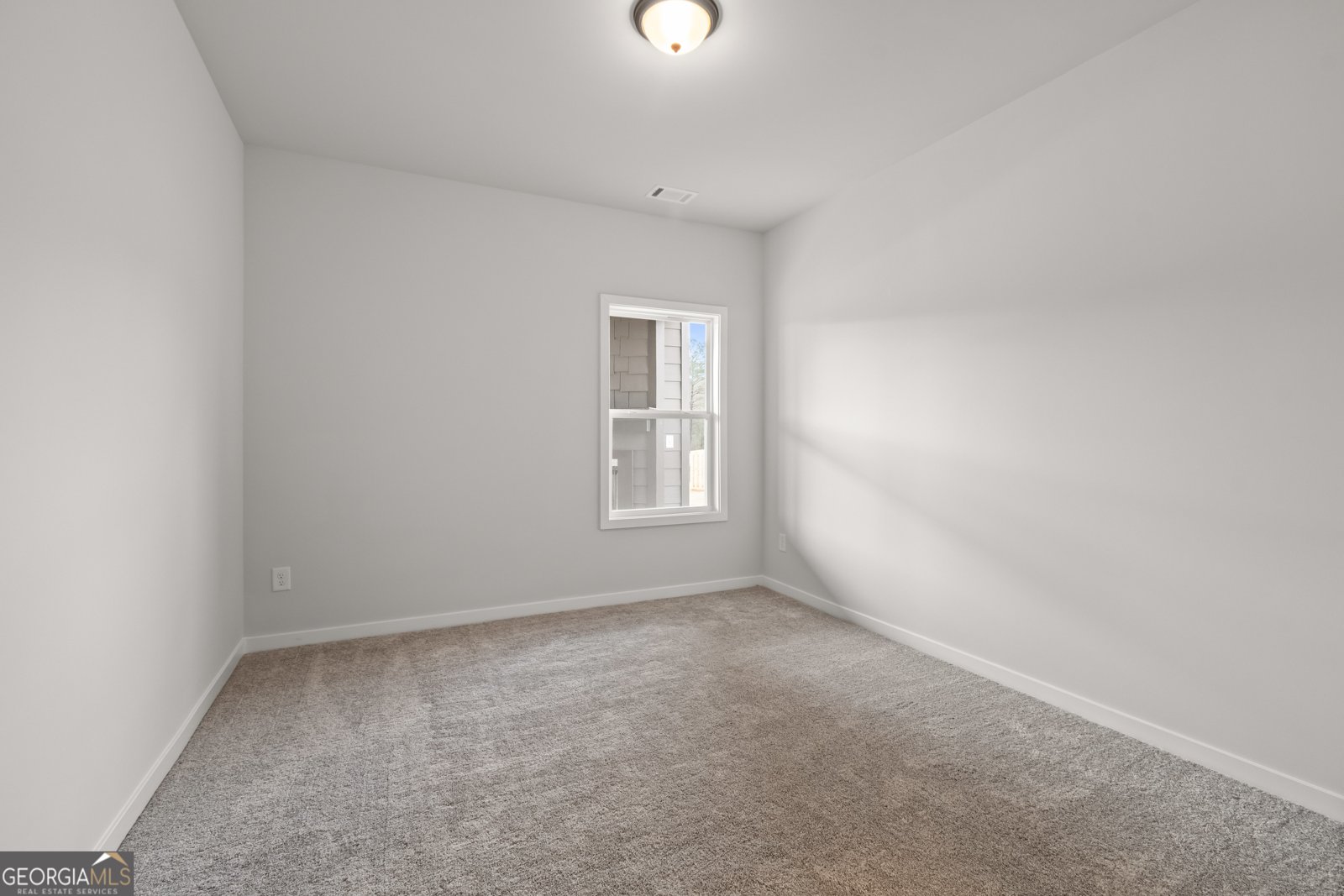 73 Rose Lake Court Hoschton - Photo 6