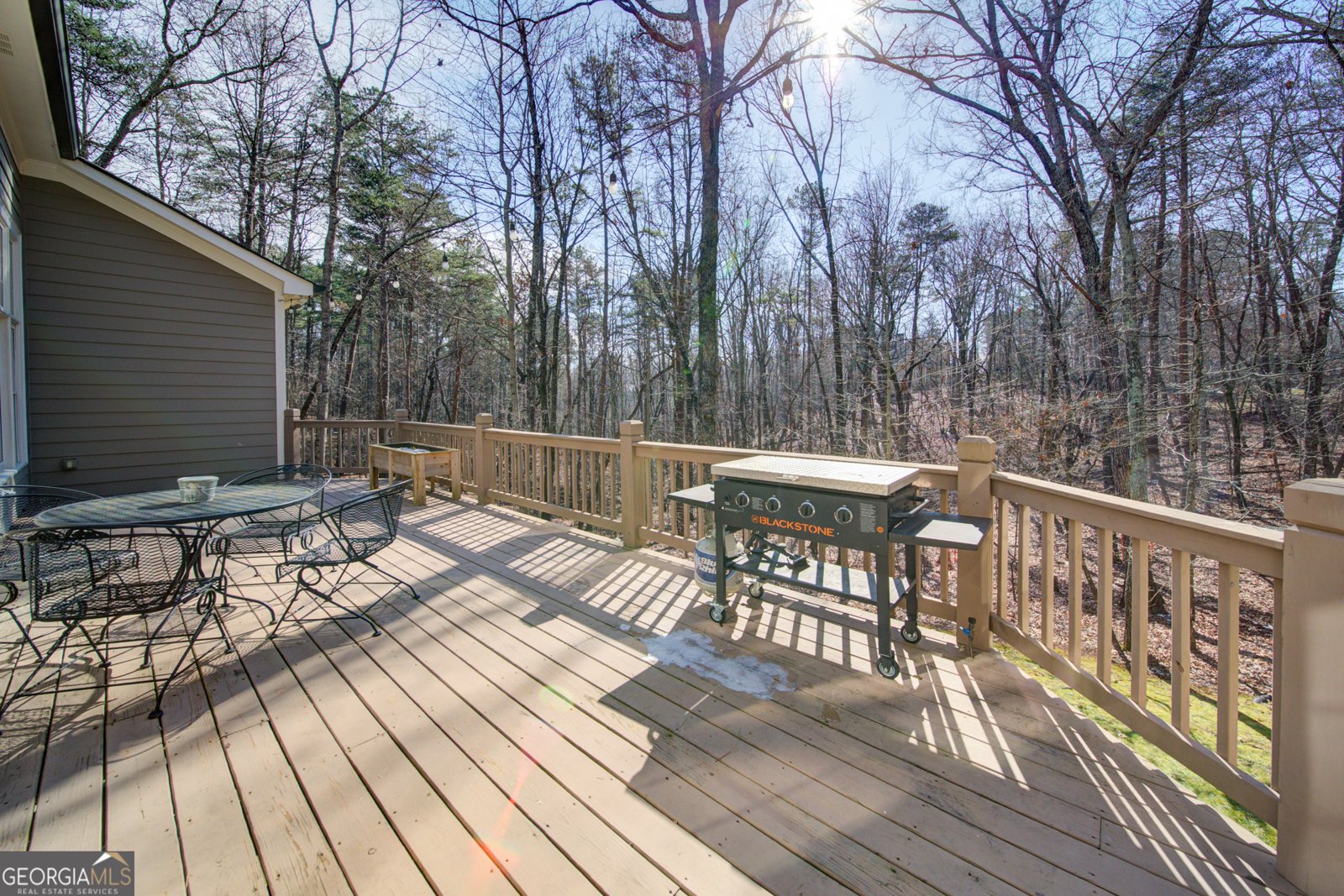 432 Deans Drive Dawsonville - Photo 62