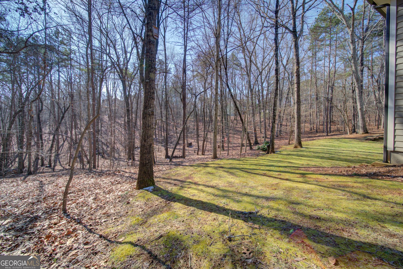 432 Deans Drive Dawsonville - Photo 69