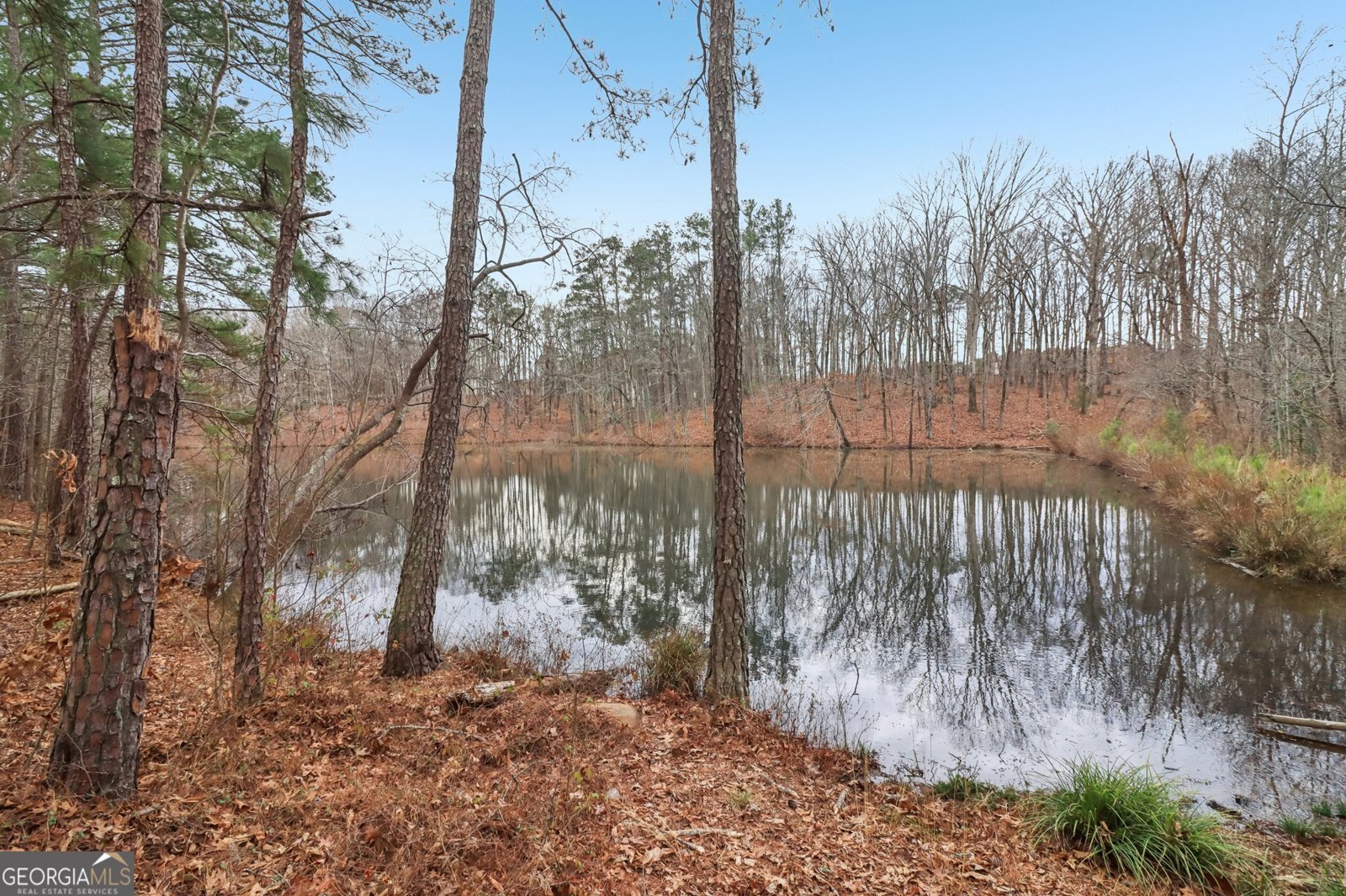 175 Meredith Way Stockbridge - Photo 65