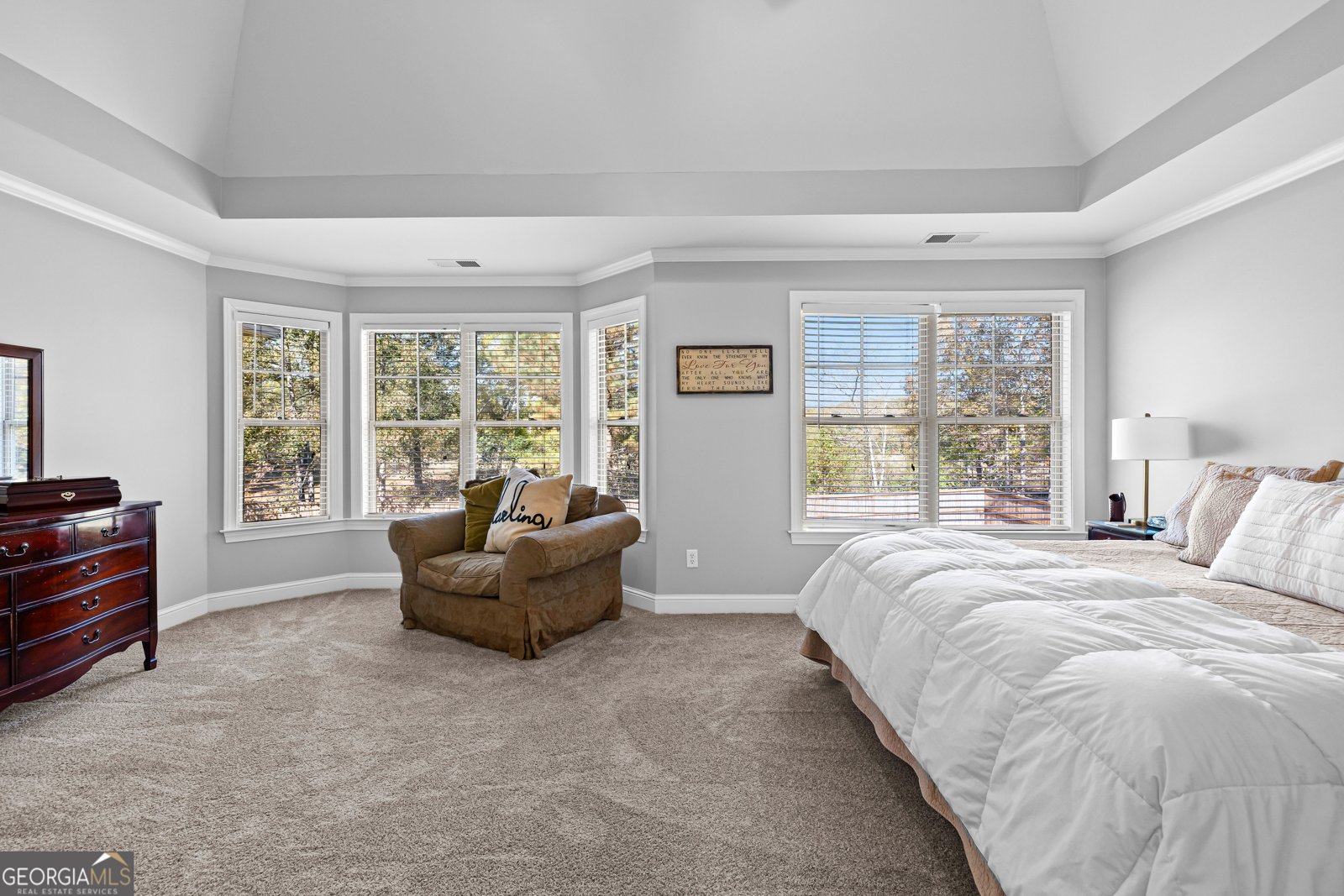 180 Burkwood Court Fayetteville - Photo 48