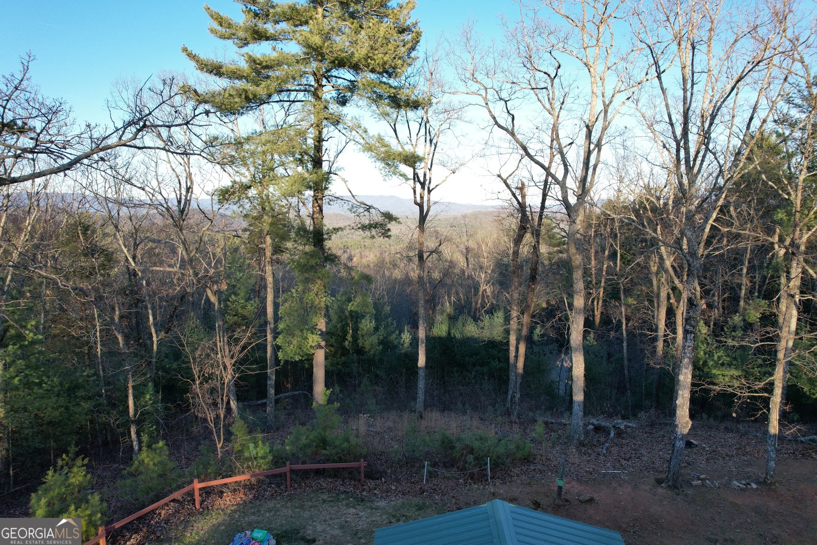 1487 Morton Drive Ellijay - Photo 37