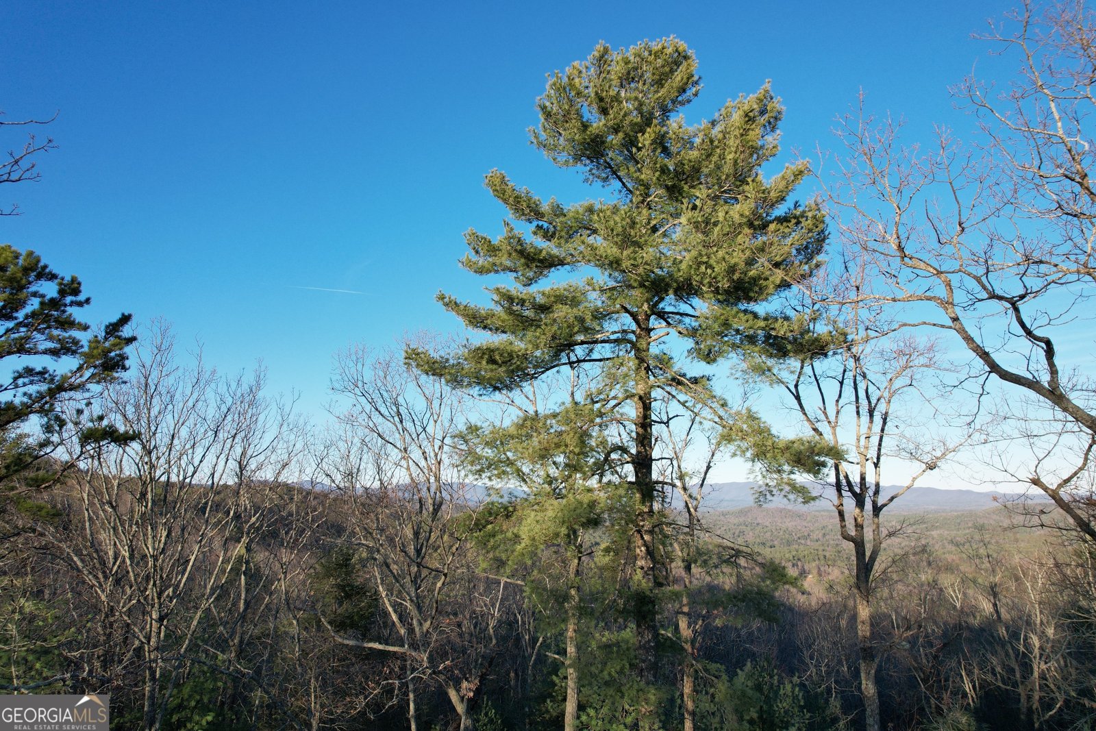 1487 Morton Drive Ellijay - Photo 38