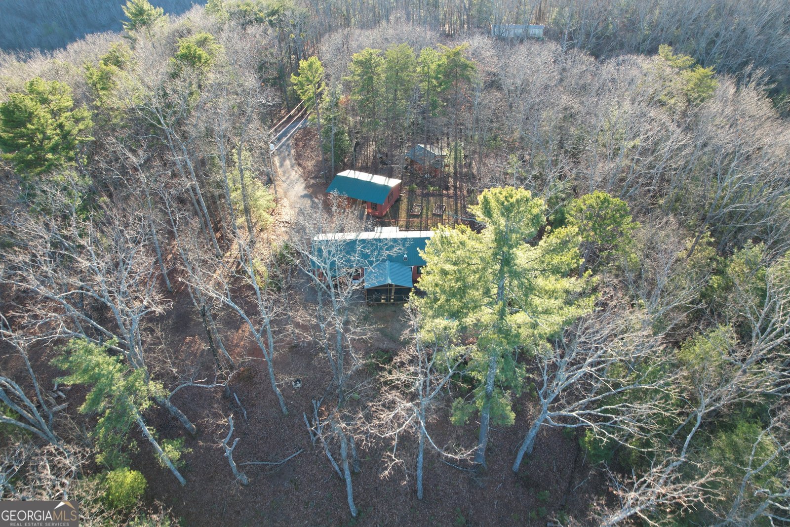 1487 Morton Drive Ellijay - Photo 40