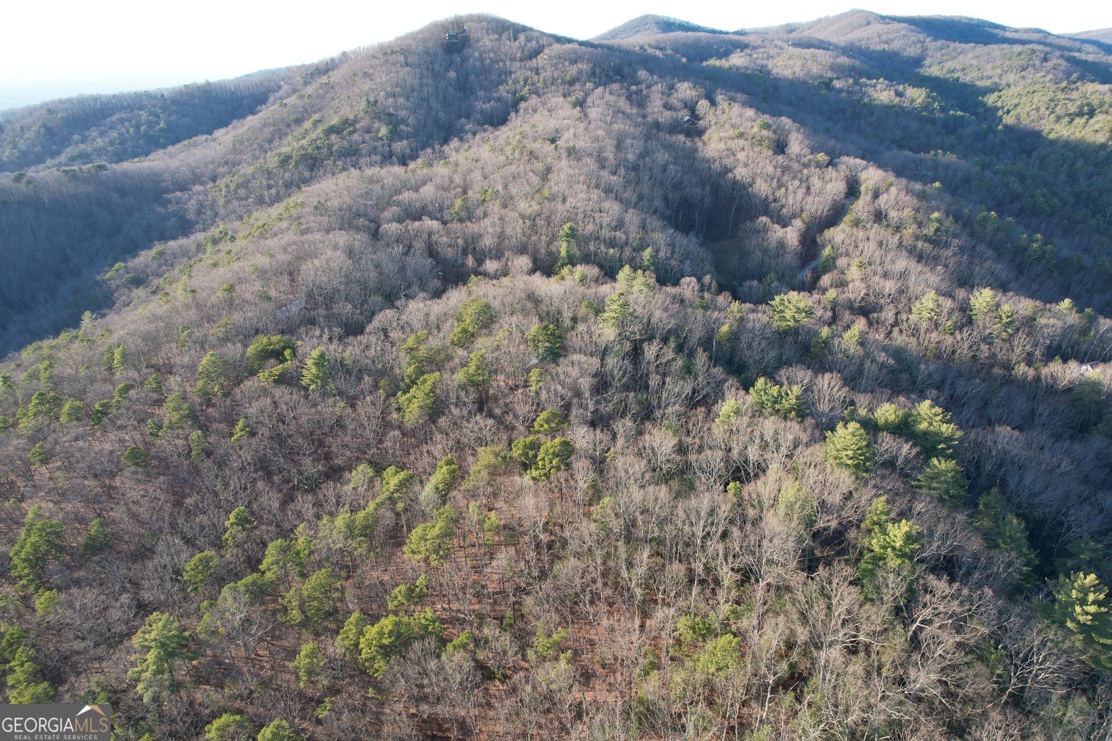 1487 Morton Drive Ellijay - Photo 47