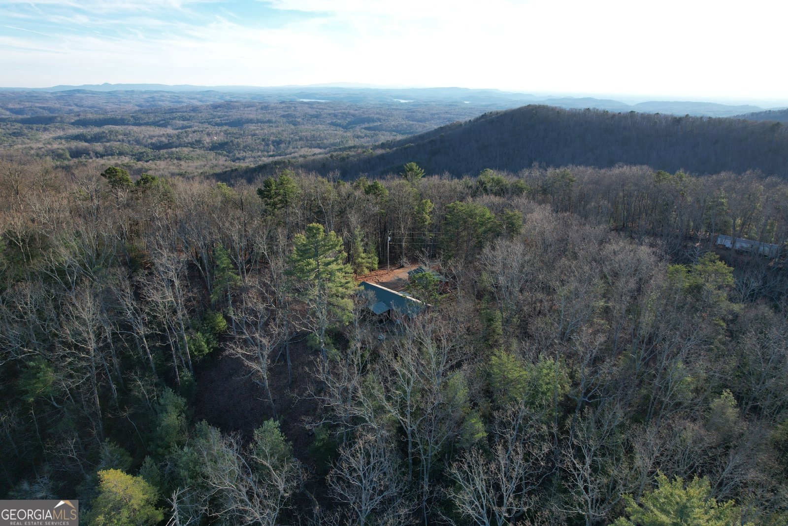 1487 Morton Drive Ellijay - Photo 50