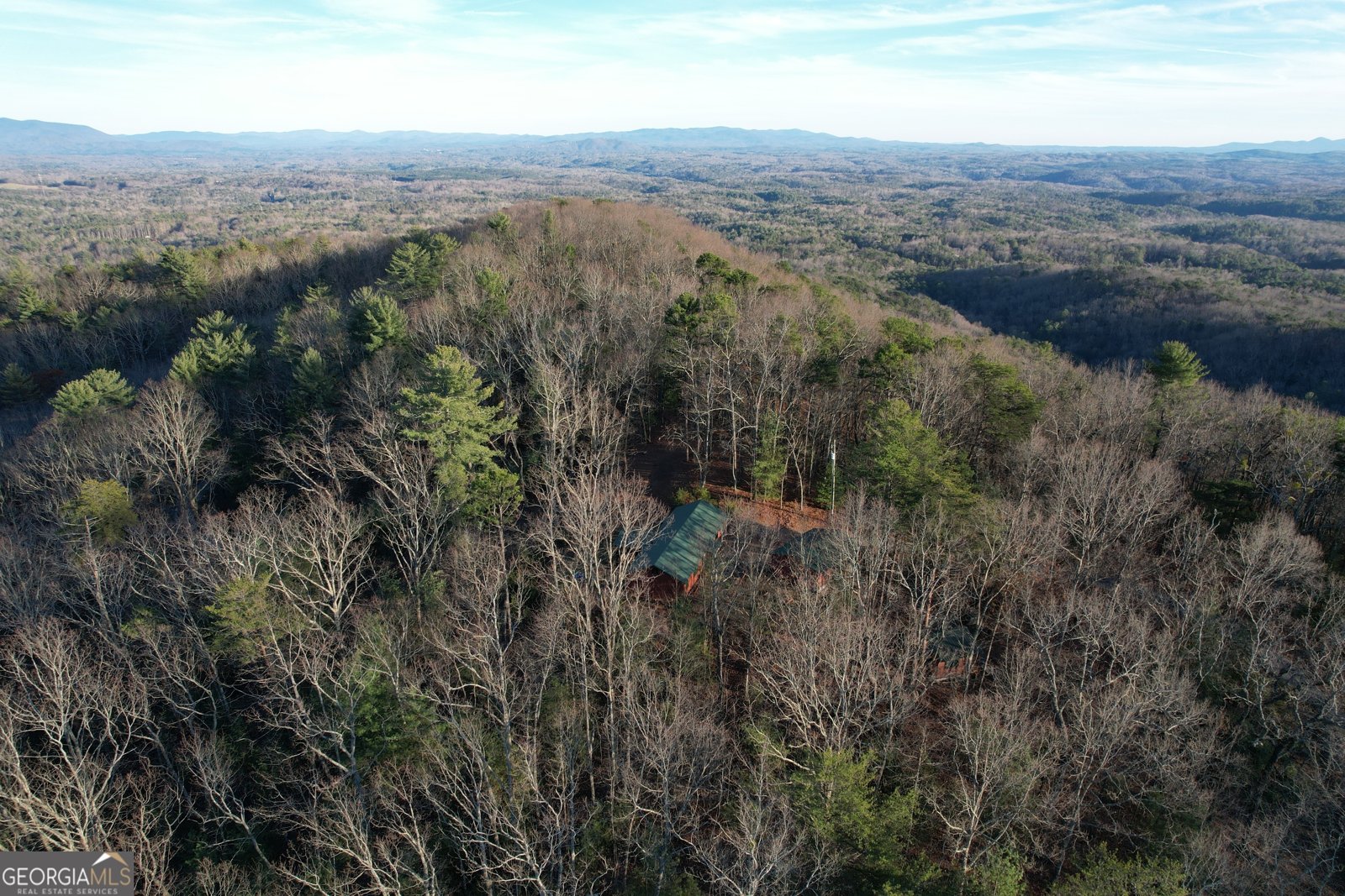 1487 Morton Drive Ellijay - Photo 51