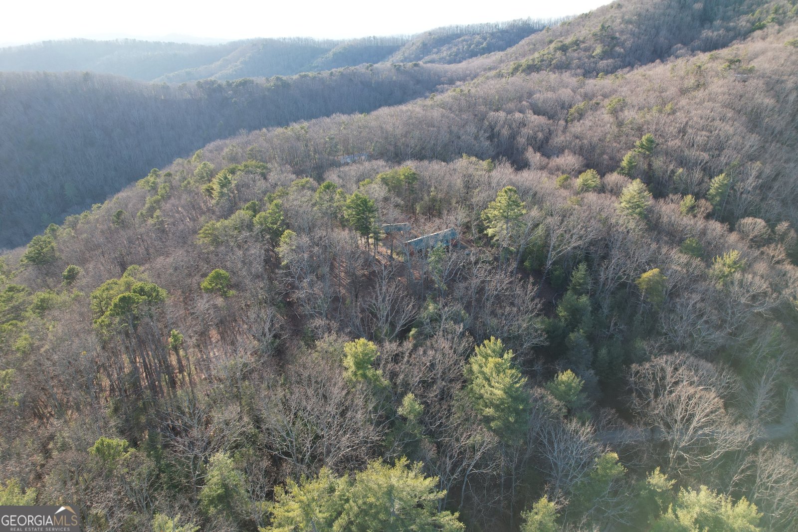 1487 Morton Drive Ellijay - Photo 52