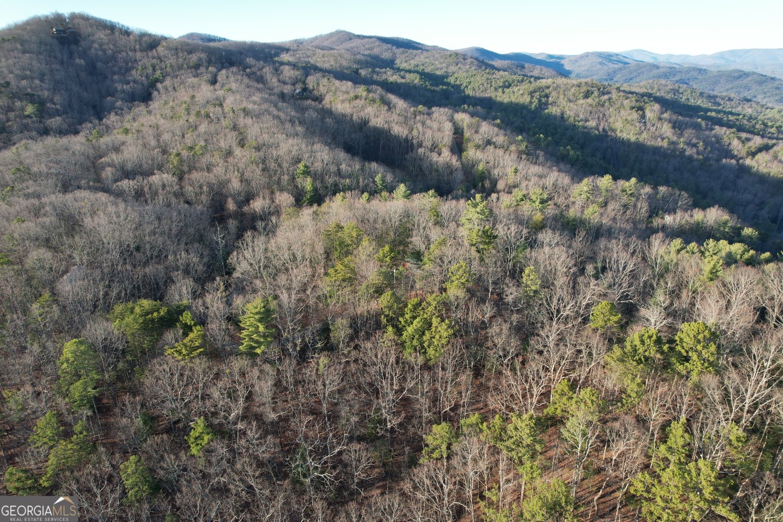 1487 Morton Drive Ellijay - Photo 53