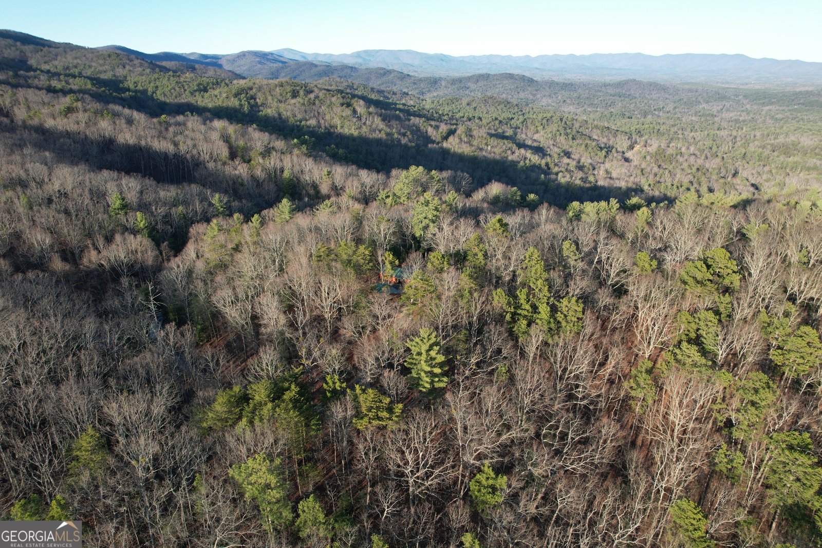 1487 Morton Drive Ellijay - Photo 54