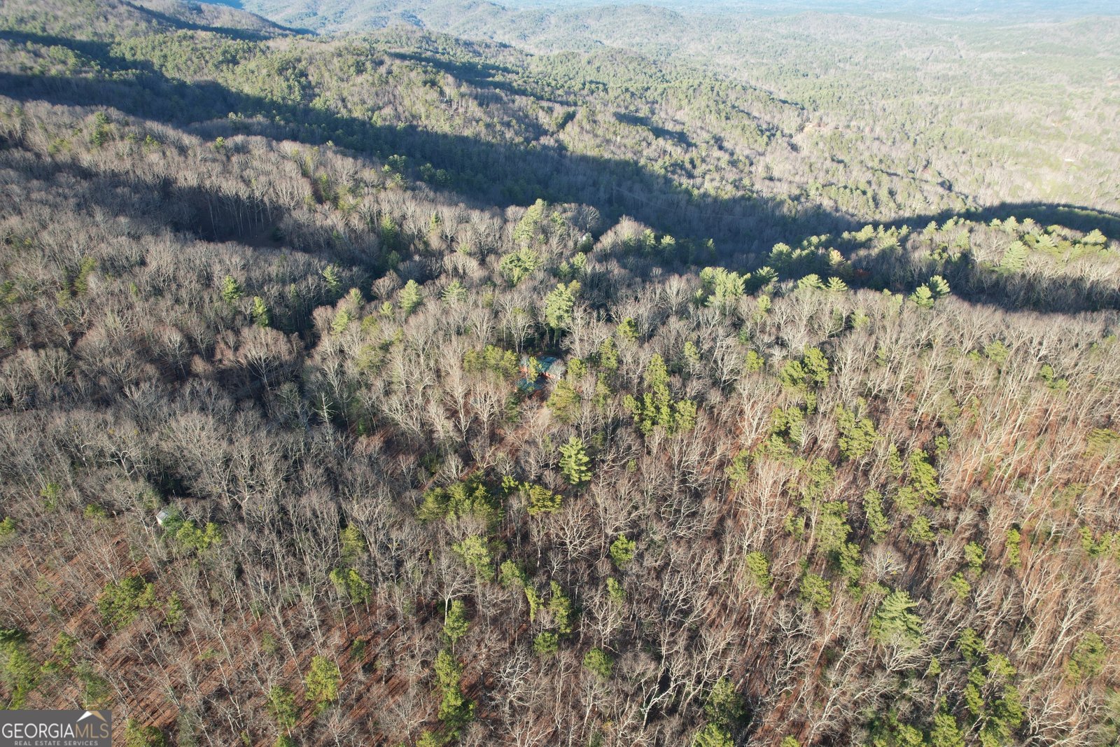 1487 Morton Drive Ellijay - Photo 55