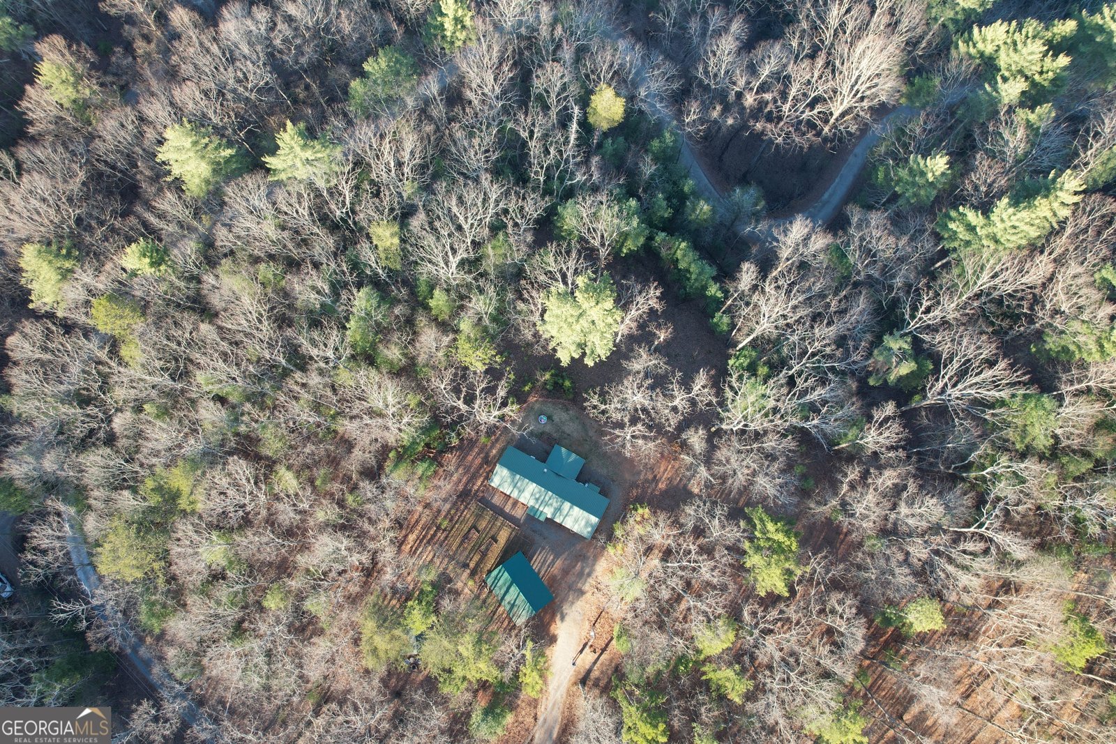 1487 Morton Drive Ellijay - Photo 56