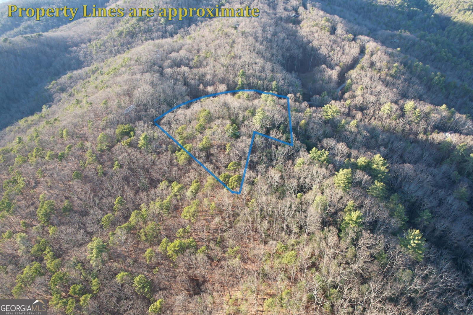 1487 Morton Drive Ellijay - Photo 59